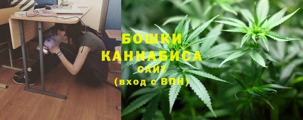 кокс Елизово