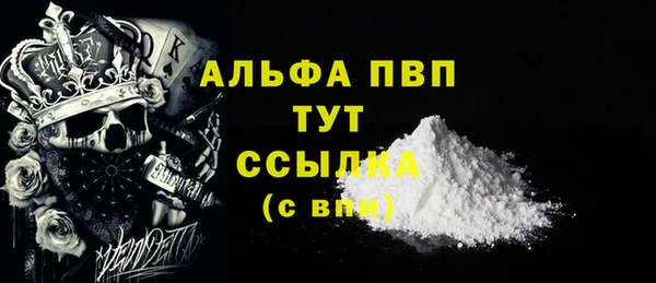 ECSTASY Ельня