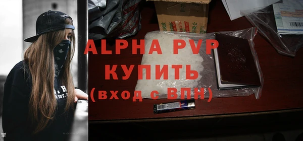 кокс Елизово