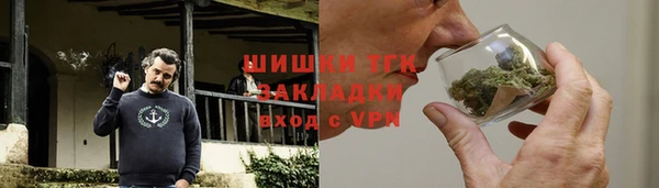 ECSTASY Ельня