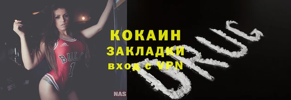 кокс Елизово