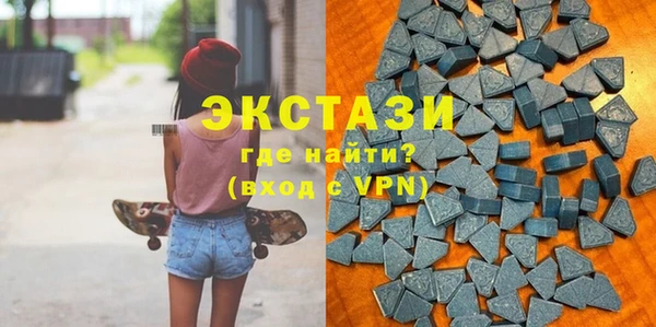 ECSTASY Ельня