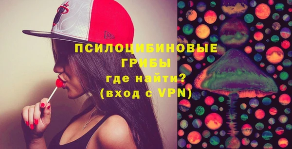 ECSTASY Ельня