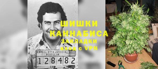 кокс Елизово