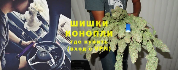 ECSTASY Ельня