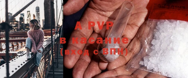 ECSTASY Ельня