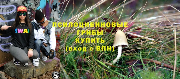 ECSTASY Ельня