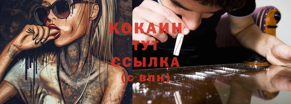 кокс Елизово