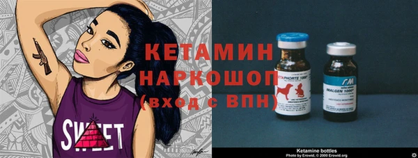 ECSTASY Ельня