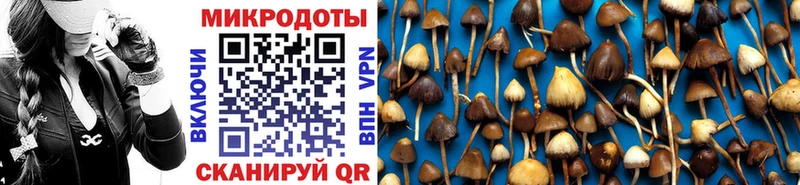 Галлюциногенные грибы Psilocybe  Челябинск 